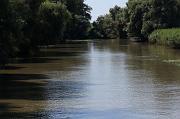266-Delta del Danubio,7 agosto 2011